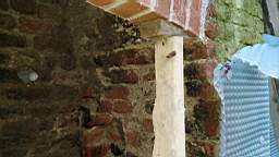 acastle
                          100365.jpg